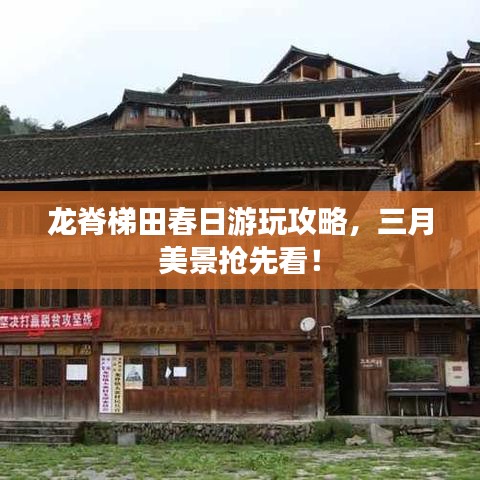 龍脊梯田春日游玩攻略，三月美景搶先看！