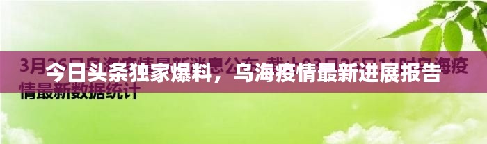 今日頭條獨家爆料，烏海疫情最新進展報告
