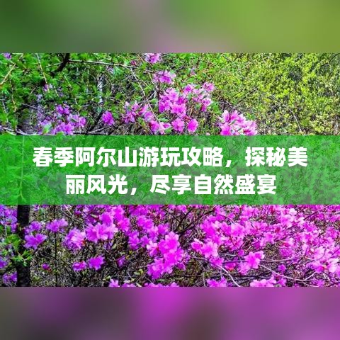 春季阿爾山游玩攻略，探秘美麗風光，盡享自然盛宴