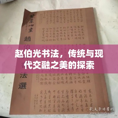 趙伯光書(shū)法，傳統(tǒng)與現(xiàn)代交融之美的探索