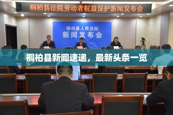 桐柏縣新聞速遞，最新頭條一覽