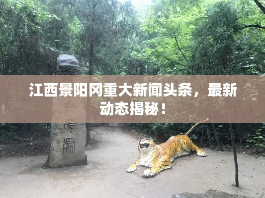 江西景陽(yáng)岡重大新聞?lì)^條，最新動(dòng)態(tài)揭秘！