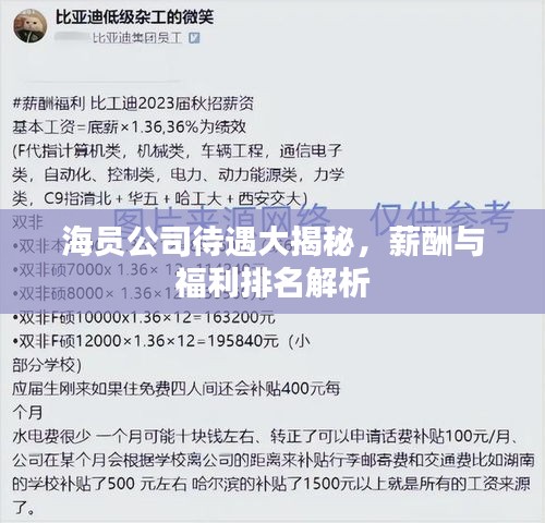 海員公司待遇大揭秘，薪酬與福利排名解析