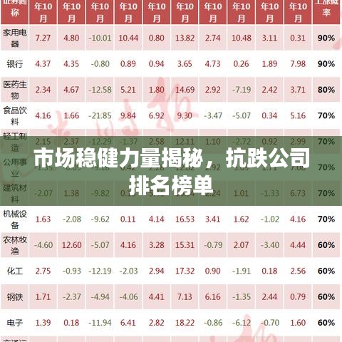 市場穩(wěn)健力量揭秘，抗跌公司排名榜單