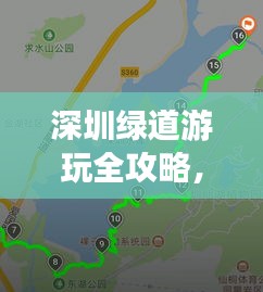 深圳綠道游玩全攻略，最新路線指南