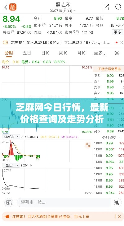 芝麻網(wǎng)今日行情，最新價格查詢及走勢分析