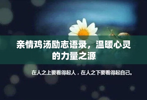 親情雞湯勵(lì)志語(yǔ)錄，溫暖心靈的力量之源