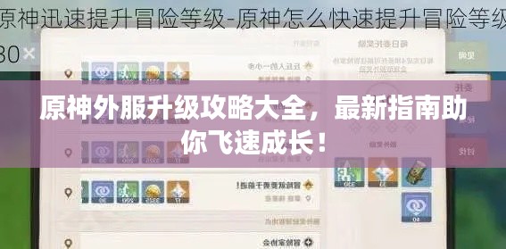 原神外服升級攻略大全，最新指南助你飛速成長！