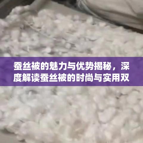 蠶絲被的魅力與優(yōu)勢揭秘，深度解讀蠶絲被的時尚與實用雙重價值