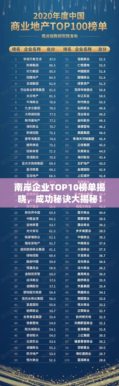 南岸企業(yè)TOP10榜單揭曉，成功秘訣大揭秘！