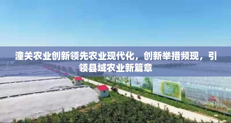 潼關(guān)農(nóng)業(yè)創(chuàng)新領(lǐng)先農(nóng)業(yè)現(xiàn)代化，創(chuàng)新舉措頻現(xiàn)，引領(lǐng)縣域農(nóng)業(yè)新篇章