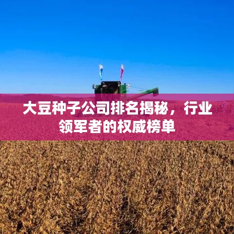 大豆種子公司排名揭秘，行業(yè)領軍者的權威榜單