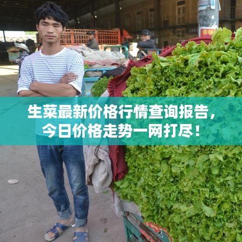生菜最新價(jià)格行情查詢報(bào)告，今日價(jià)格走勢一網(wǎng)打盡！