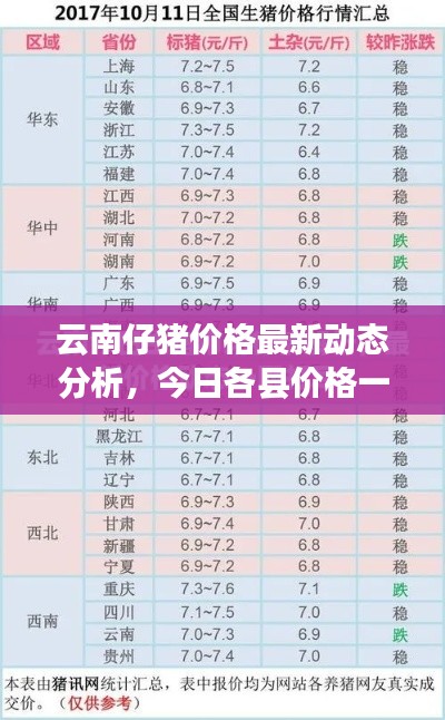 云南仔豬價(jià)格最新動(dòng)態(tài)分析，今日各縣價(jià)格一覽