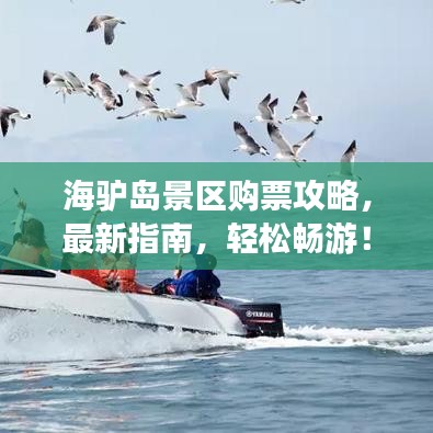 海驢島景區(qū)購票攻略，最新指南，輕松暢游！