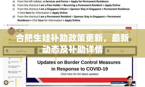 合肥生娃補助政策更新，最新動態(tài)及補助詳情