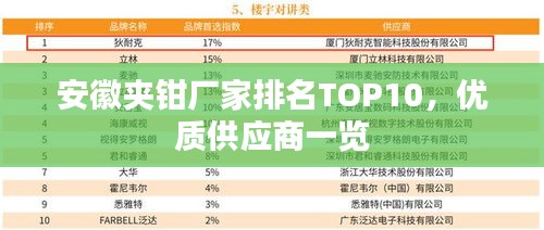 安徽夾鉗廠家排名TOP10，優(yōu)質(zhì)供應(yīng)商一覽