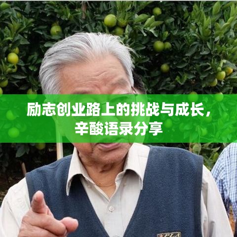 勵(lì)志創(chuàng)業(yè)路上的挑戰(zhàn)與成長(zhǎng)，辛酸語(yǔ)錄分享