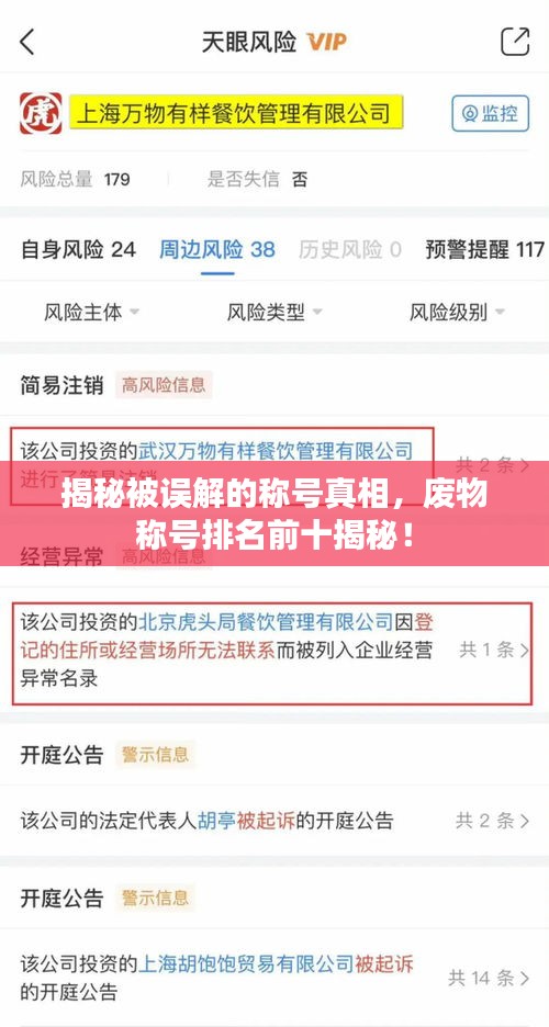 揭秘被誤解的稱號真相，廢物稱號排名前十揭秘！