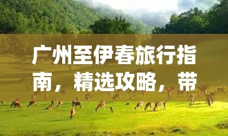 廣州至伊春旅行指南，精選攻略，帶你暢游兩地美景！