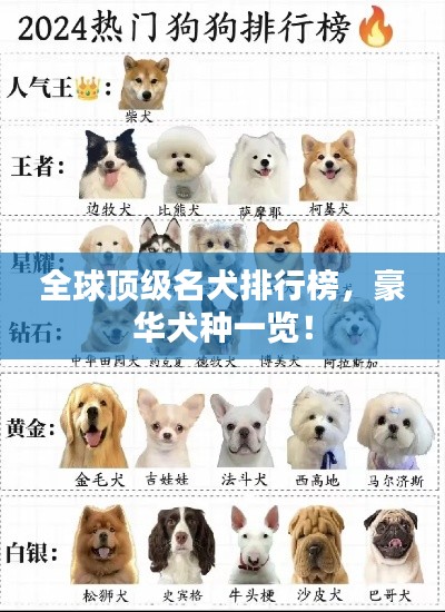 全球頂級名犬排行榜，豪華犬種一覽！