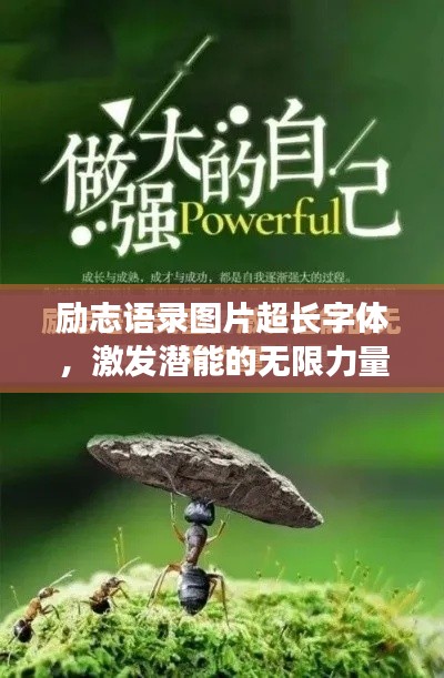 勵志語錄圖片超長字體，激發(fā)潛能的無限力量之源！