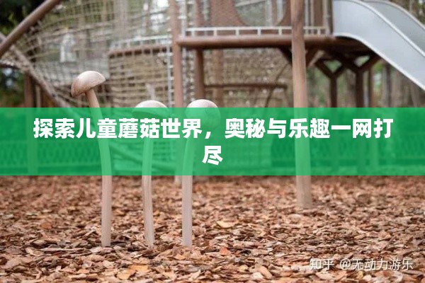 探索兒童蘑菇世界，奧秘與樂趣一網(wǎng)打盡