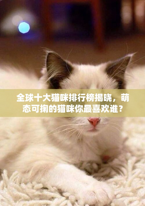 全球十大貓咪排行榜揭曉，萌態(tài)可掬的貓咪你最喜歡誰？