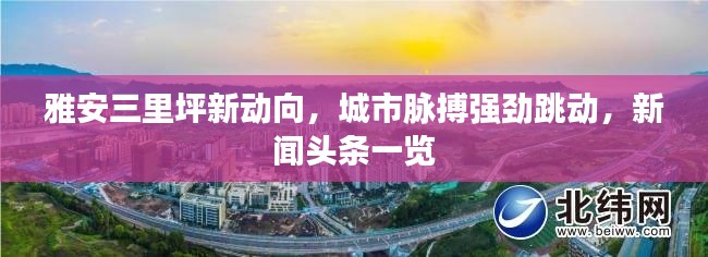雅安三里坪新動(dòng)向，城市脈搏強(qiáng)勁跳動(dòng)，新聞?lì)^條一覽
