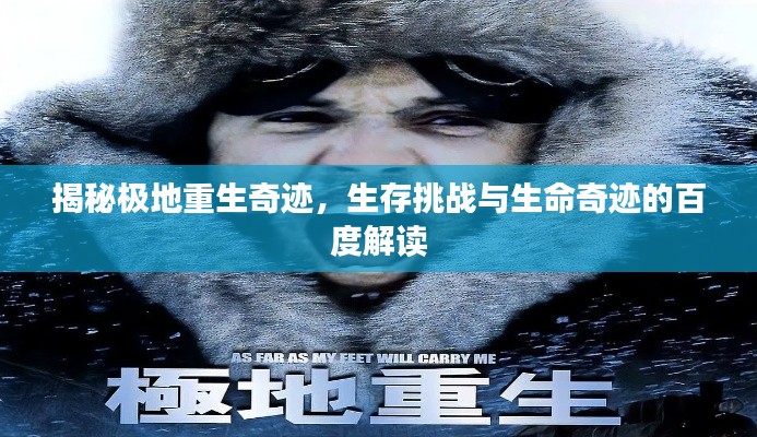 揭秘極地重生奇跡，生存挑戰(zhàn)與生命奇跡的百度解讀