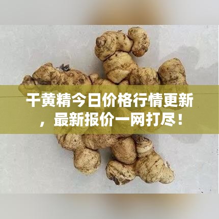 干黃精今日價格行情更新，最新報價一網(wǎng)打盡！
