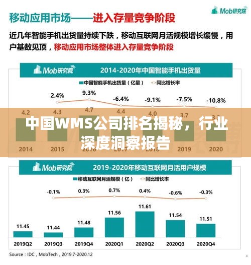 中國WMS公司排名揭秘，行業(yè)深度洞察報告