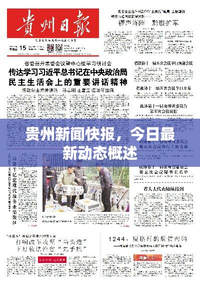 貴州新聞快報，今日最新動態(tài)概述
