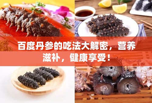 百度丹參的吃法大解密，營養(yǎng)滋補(bǔ)，健康享受！
