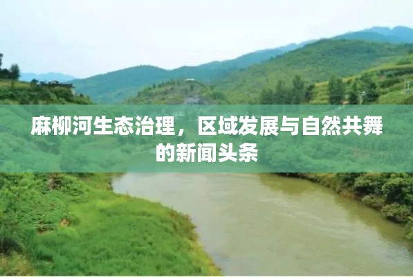 麻柳河生態(tài)治理，區(qū)域發(fā)展與自然共舞的新聞?lì)^條
