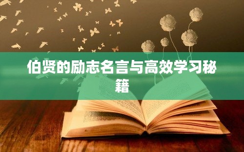 伯賢的勵(lì)志名言與高效學(xué)習(xí)秘籍