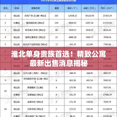 淮北單身貴族首選！精致公寓最新出售消息揭秘