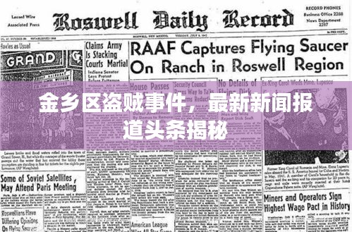 金鄉(xiāng)區(qū)盜賊事件，最新新聞報(bào)道頭條揭秘