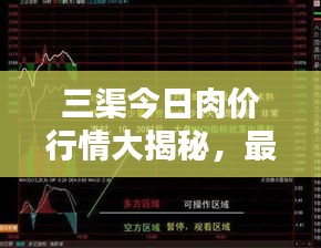 高人雅士