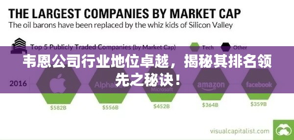 韋恩公司行業(yè)地位卓越，揭秘其排名領(lǐng)先之秘訣！