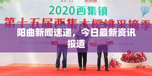 陽曲新聞速遞，今日最新資訊報(bào)道