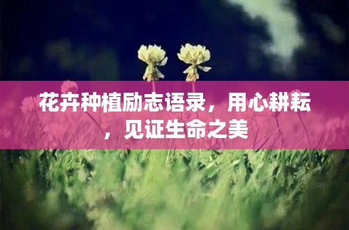 花卉種植勵(lì)志語(yǔ)錄，用心耕耘，見(jiàn)證生命之美