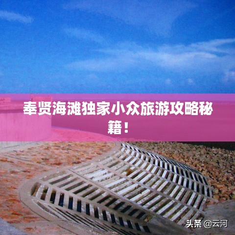 奉賢海灘獨(dú)家小眾旅游攻略秘籍！