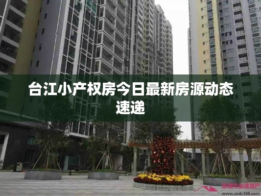 臺江小產(chǎn)權(quán)房今日最新房源動態(tài)速遞