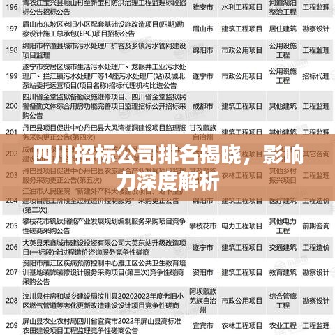 四川招標公司排名揭曉，影響力深度解析