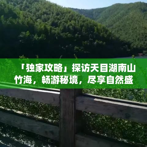 「獨家攻略」探訪天目湖南山竹海，暢游秘境，盡享自然盛宴！