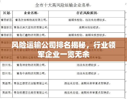 風(fēng)險(xiǎn)運(yùn)輸公司排名揭秘，行業(yè)領(lǐng)軍企業(yè)一覽無(wú)余