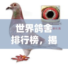 世界鴿舍排行榜，揭秘全球最大鴿舍TOP排名！