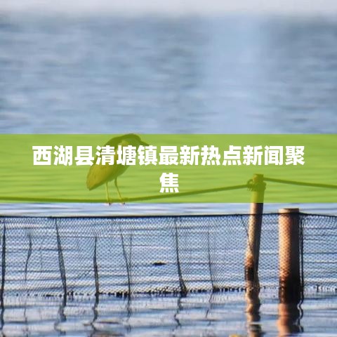 西湖縣清塘鎮(zhèn)最新熱點新聞聚焦