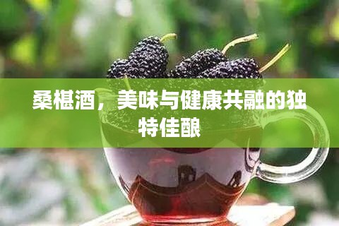 桑椹酒，美味與健康共融的獨(dú)特佳釀